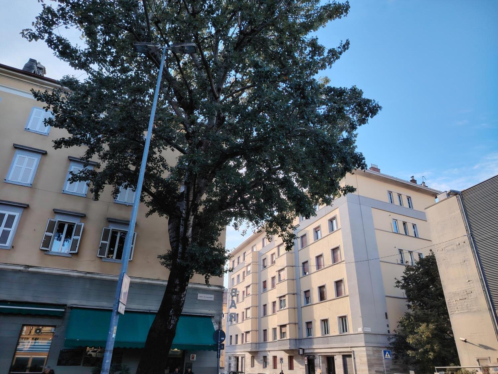 Fabio Haus Trieste Apartment Exterior photo